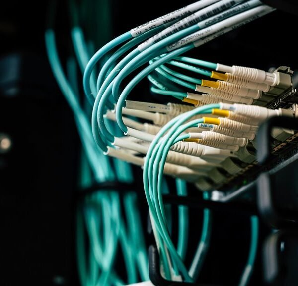 Creative Digital Network 613660472 Cloud Suite