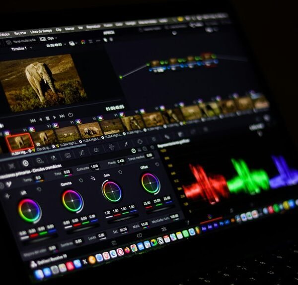 creative digital suite web engine