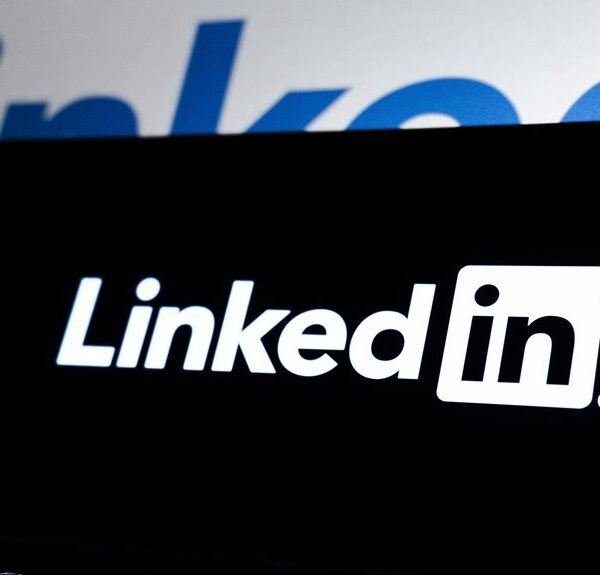 creative web network platform