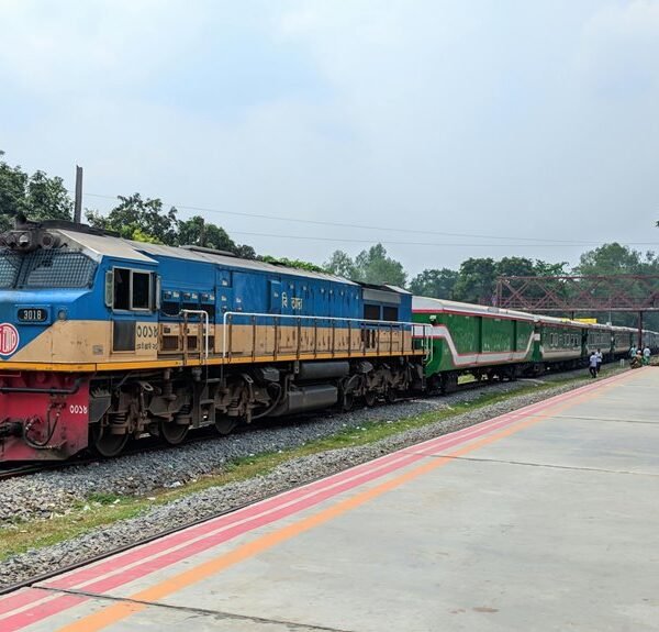 dynamic web engine platform details